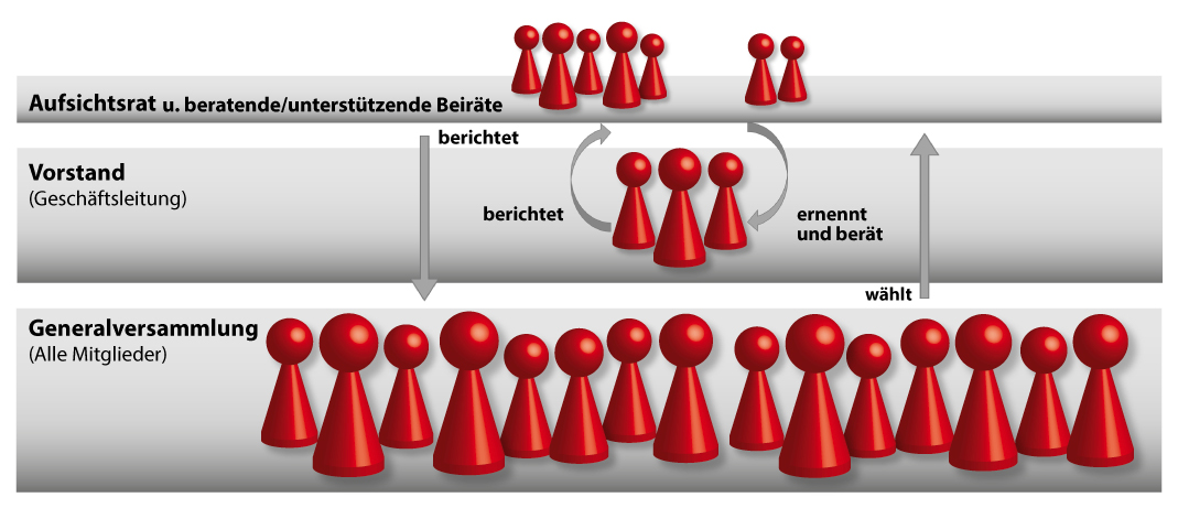 Aufbau der Genossenschaft